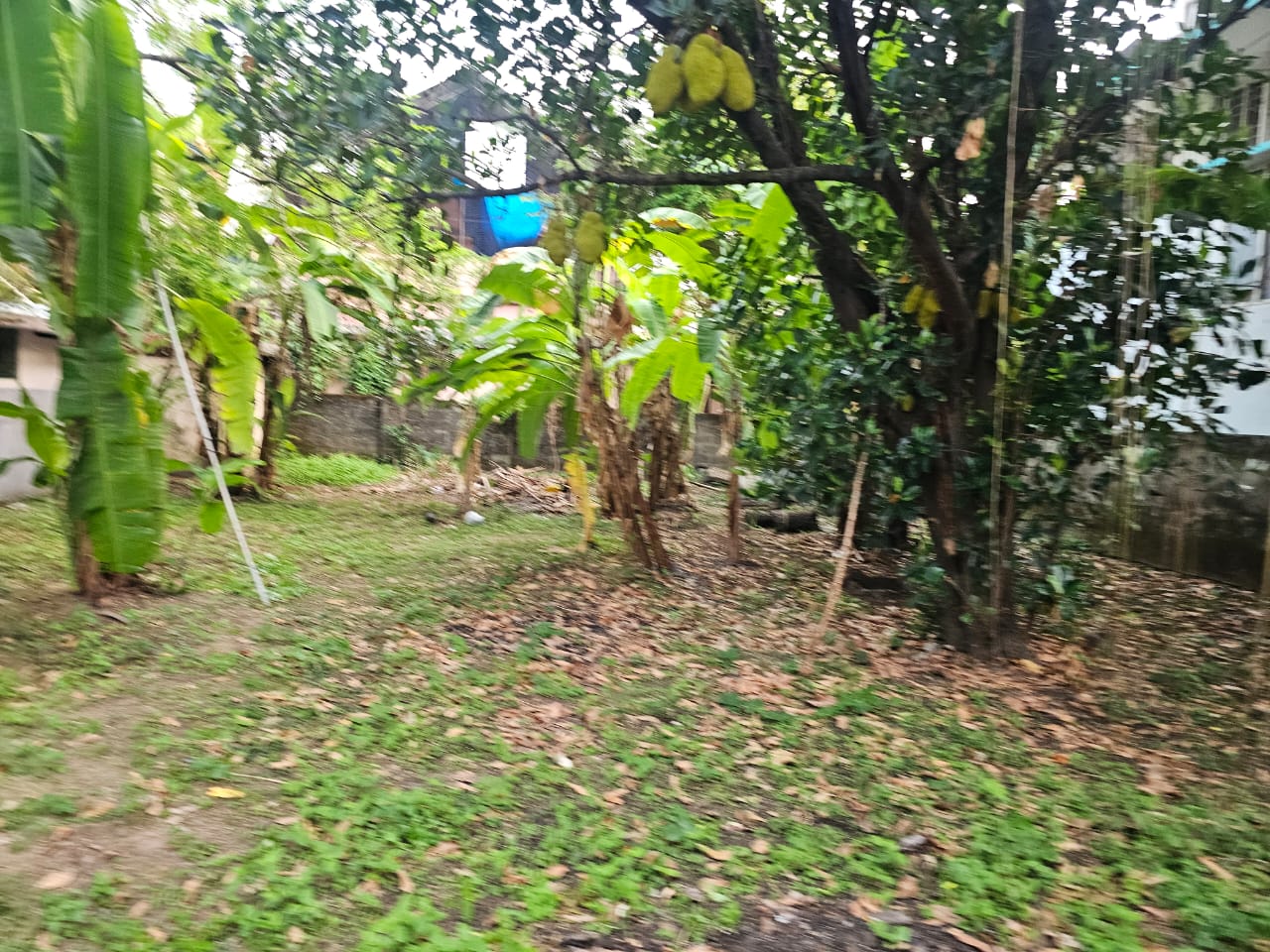 5 cents of Land - for sale in Vennala, Kochi ( Ernakulam ), Kerala
