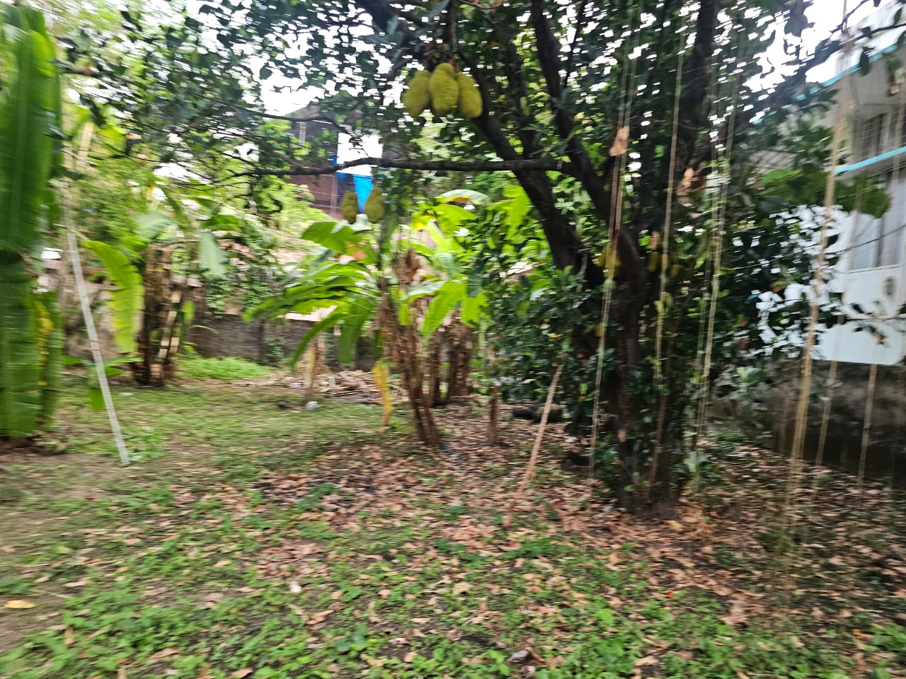 5 cents of Land
