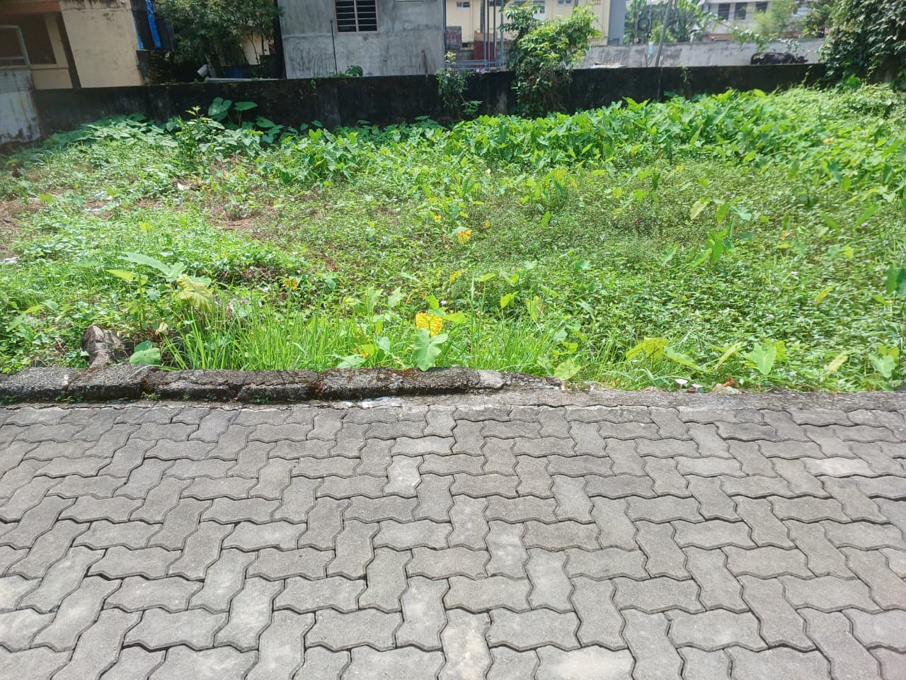 5 Cents of Residential Land