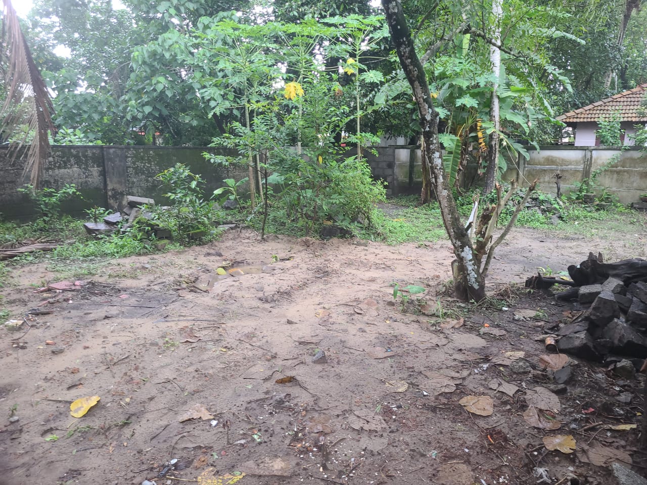5 Cents of Residential property in Eroor - for sale in Eroor, Kochi ( Ernakulam ), Kerala