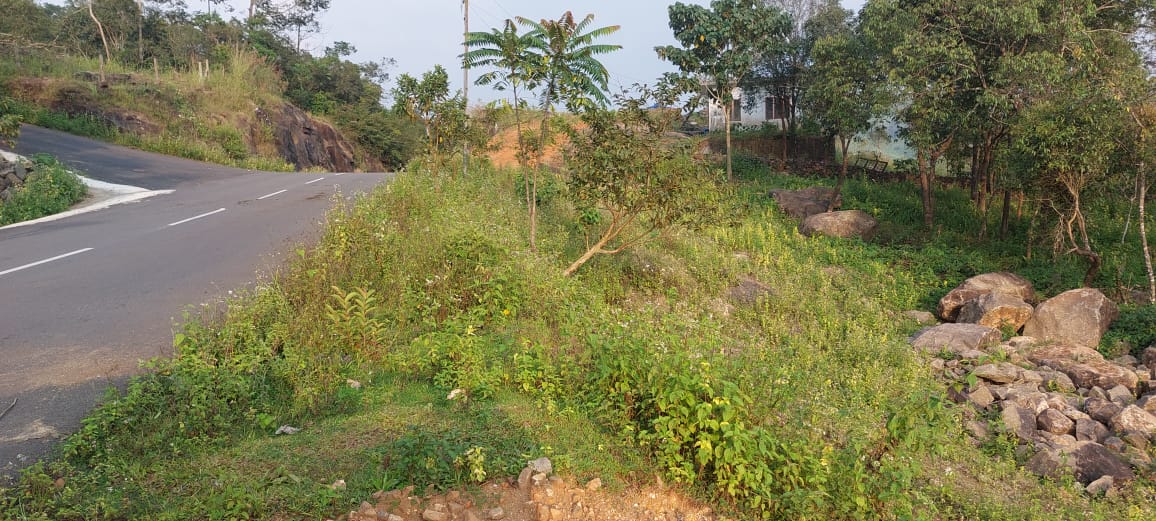 50 Cents of Land