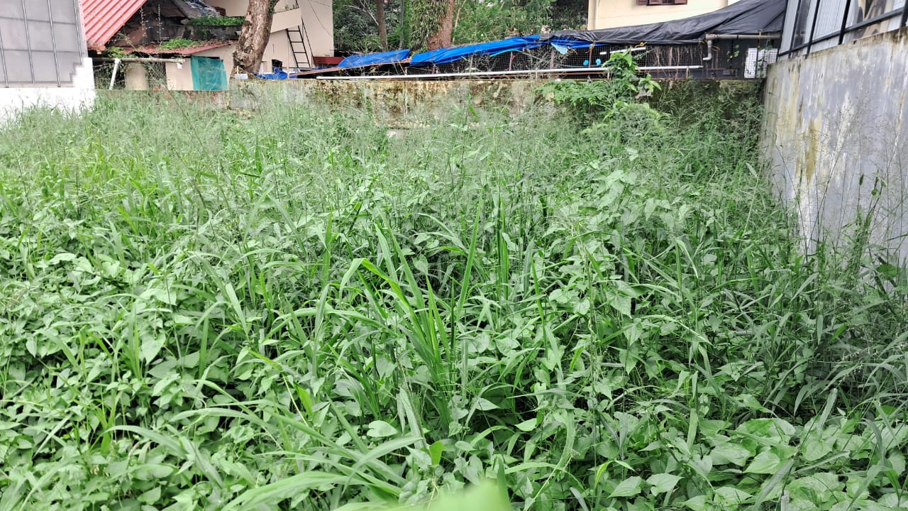 50 cents of Land - for sale in Kadavanthra, Kochi ( Ernakulam ), Kerala