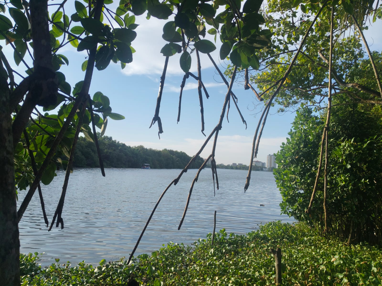 50 cents of Waterfront Land