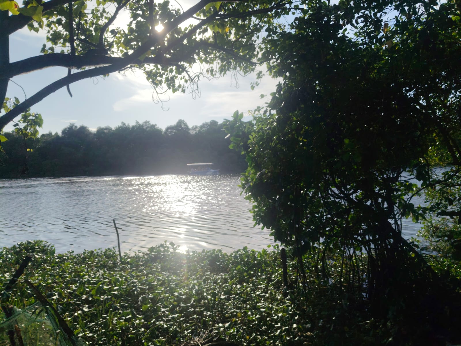 50 cents of Waterfront Land