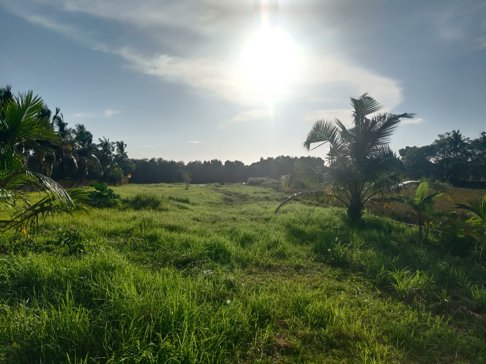 50 cents of Waterfront Land - for sale in Maradu, Kochi ( Ernakulam ), Kerala