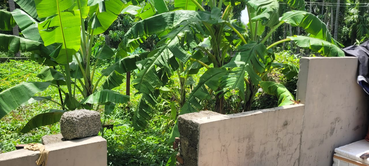 5cent of Residential Plot in Kadavanthra - for sale in Kumaranasan Road Kadavanthra, Kochi ( Ernakulam ), Kerala