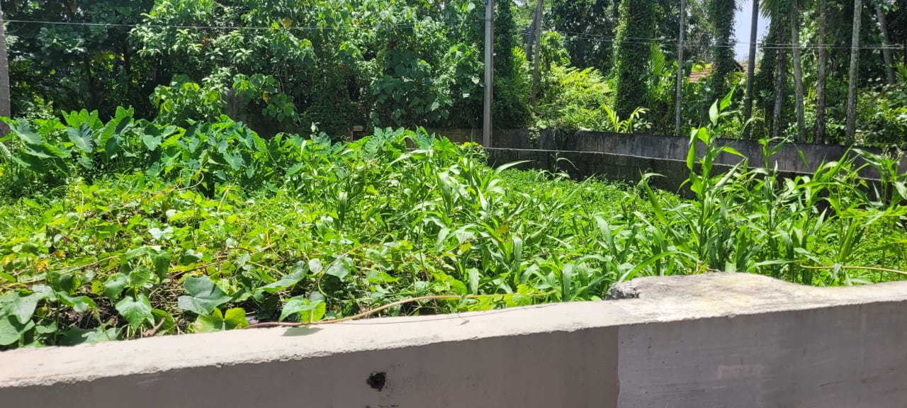5cent of Residential Plot in Kadavanthra