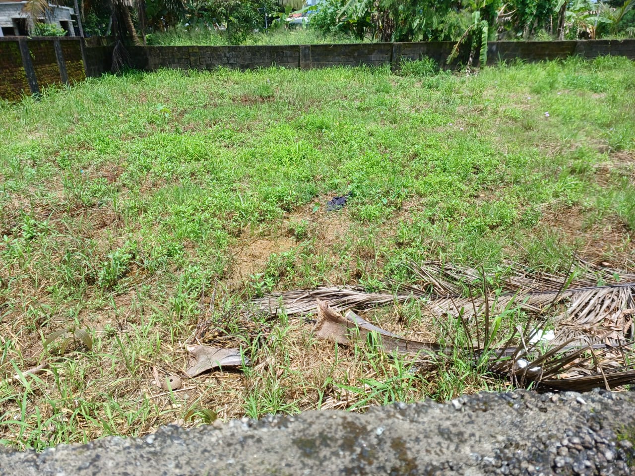 5Cents of Prime Residential Property - for sale in kadavanthra, Kochi ( Ernakulam ), Kerala