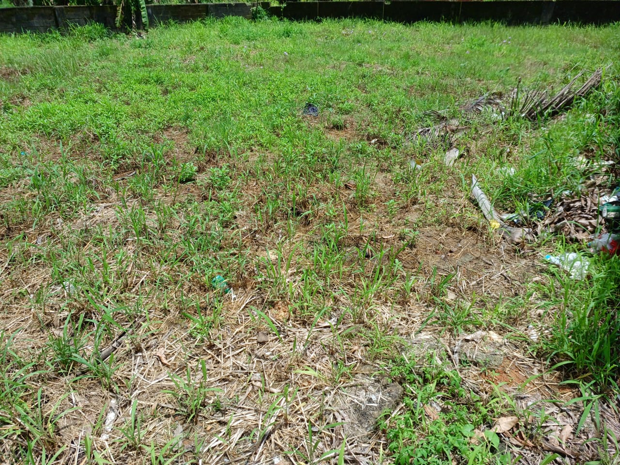 5Cents of Prime Residential Property