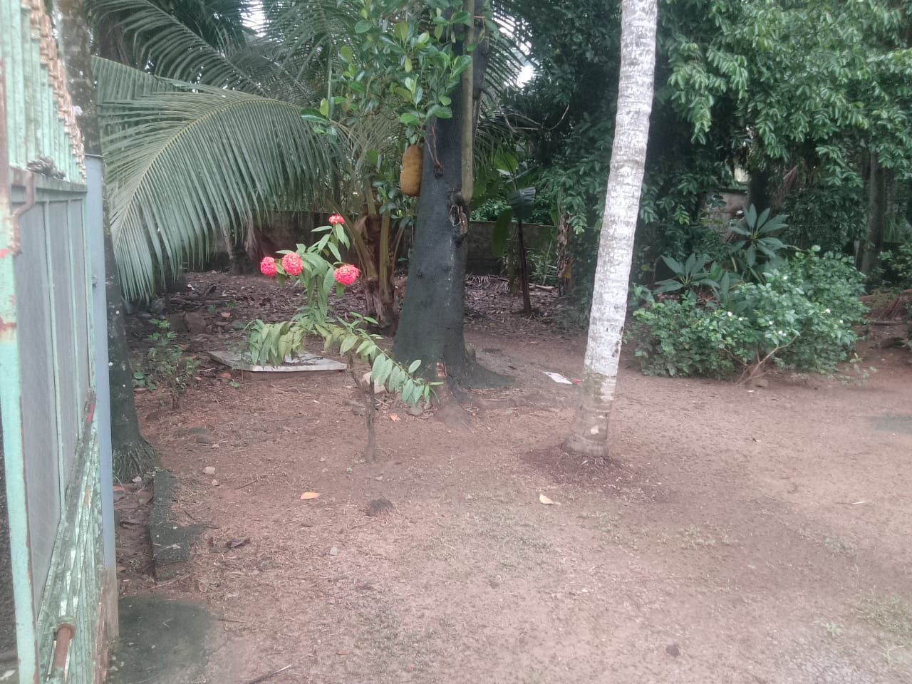 5cents of Residential Land in Maradu - for sale in Maradu, Kochi ( Ernakulam ), Kerala