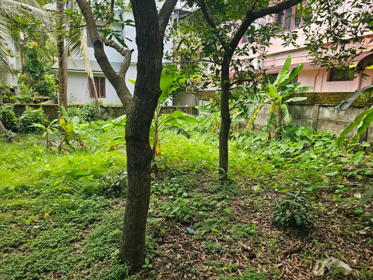 6.300 cents of Land - for sale in Vyttila, Kochi ( Ernakulam ), Kerala