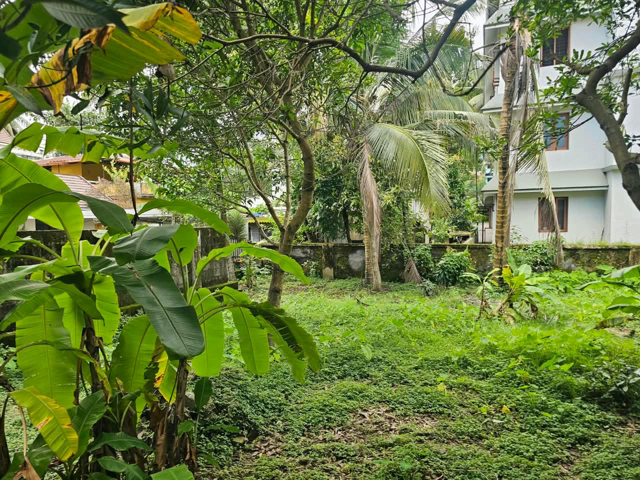 6.300 cents of Land