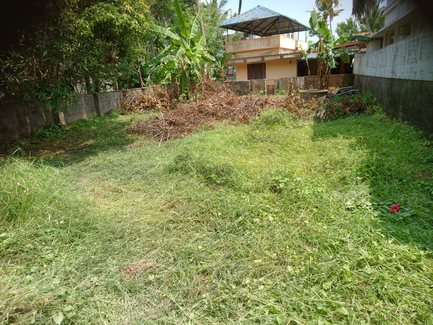 6.5 cents of land - for sale in Alinchuvadu, Kochi ( Ernakulam ), Kerala