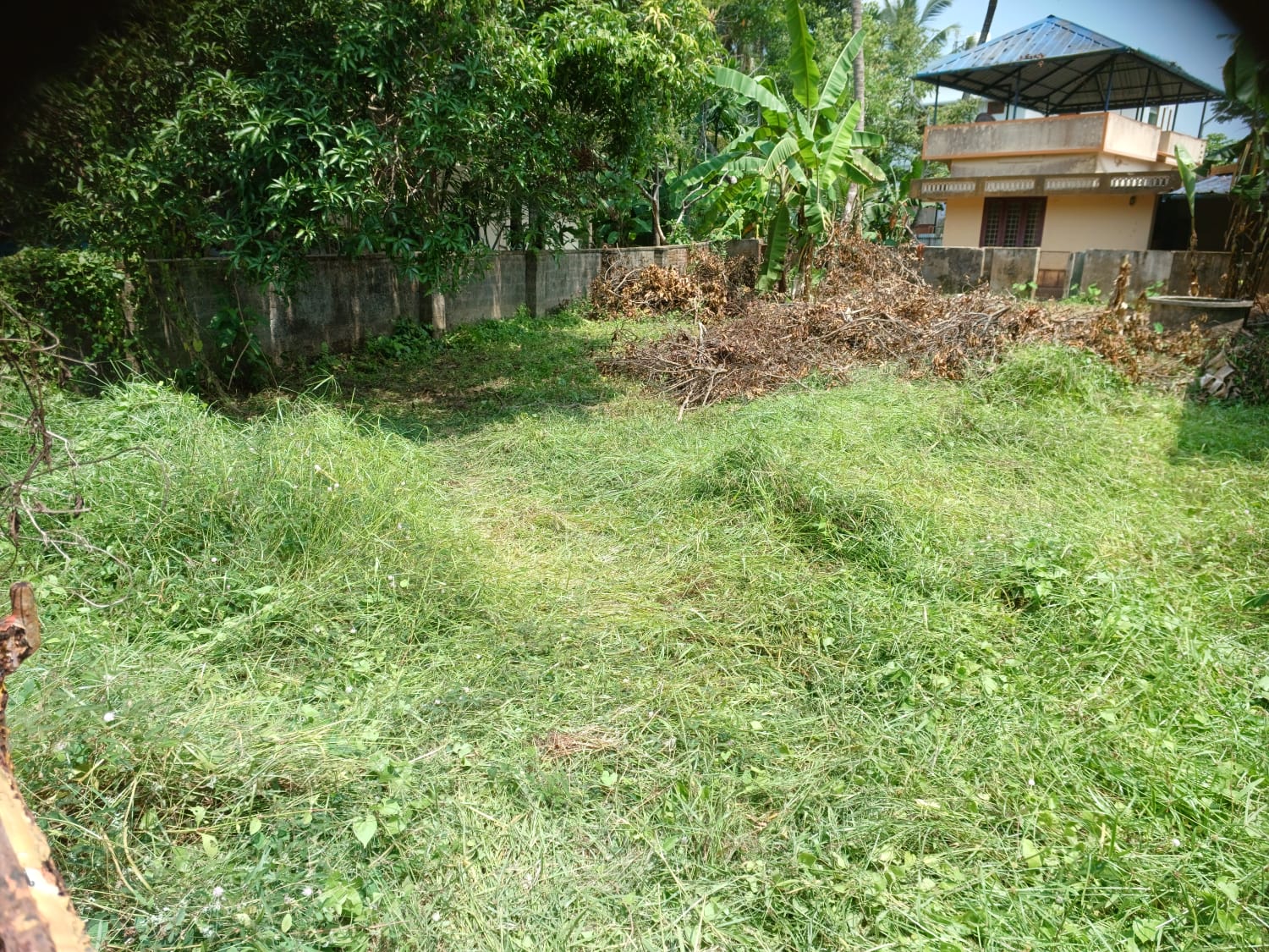 6.5 cents of land