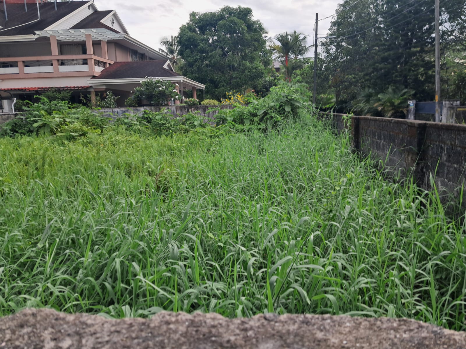6 cent of Prime Residential Property
