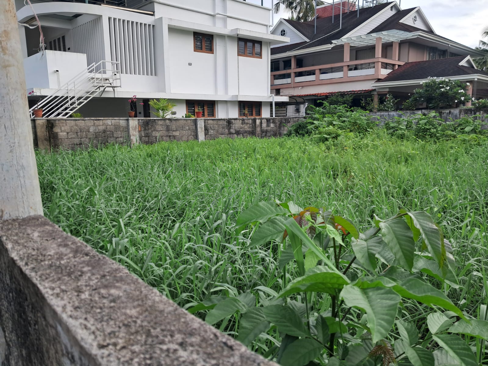 6 cent of Prime Residential Property