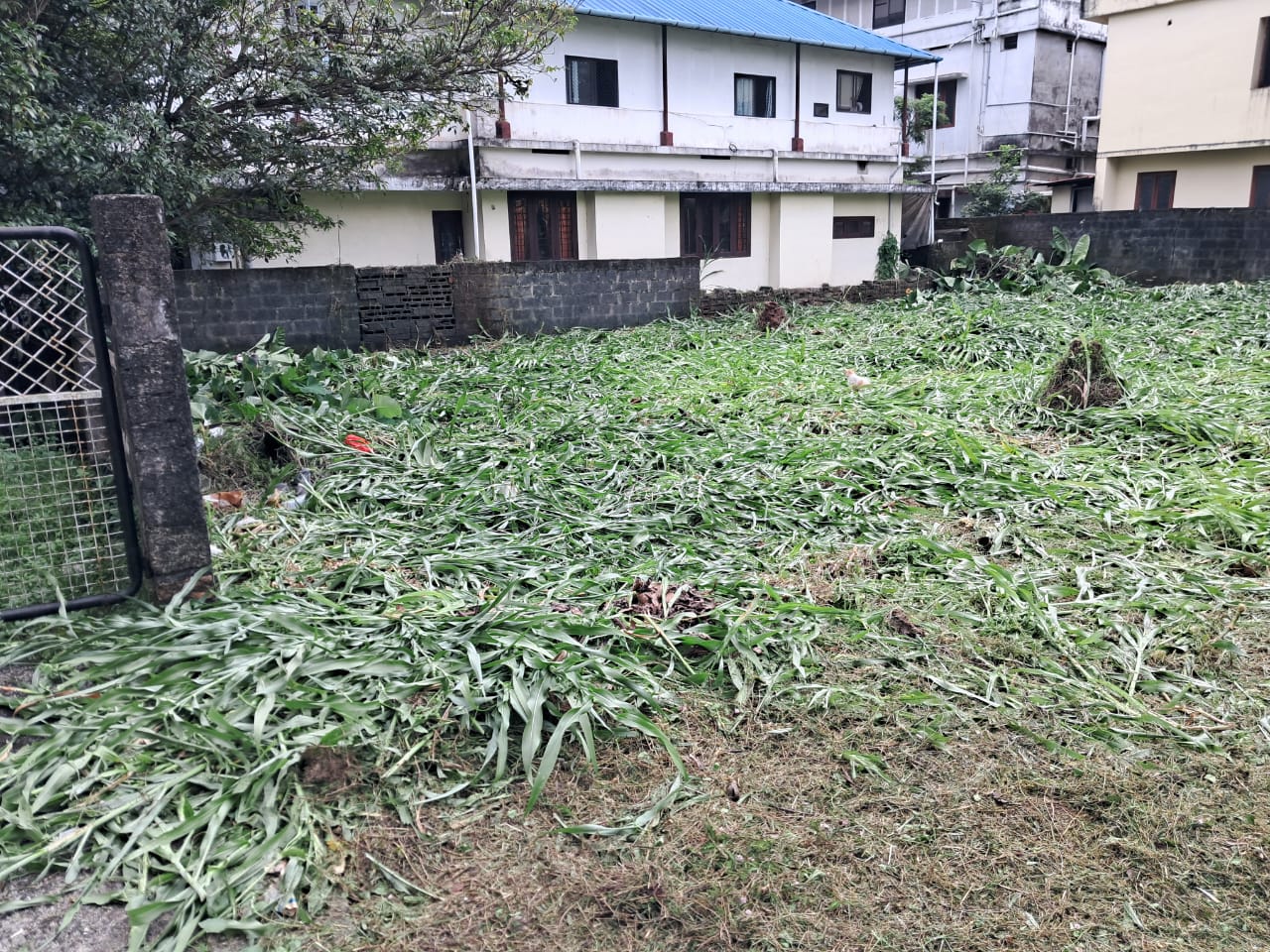 6 Cents of Land - for sale in palarivattom, Kochi, Kerala