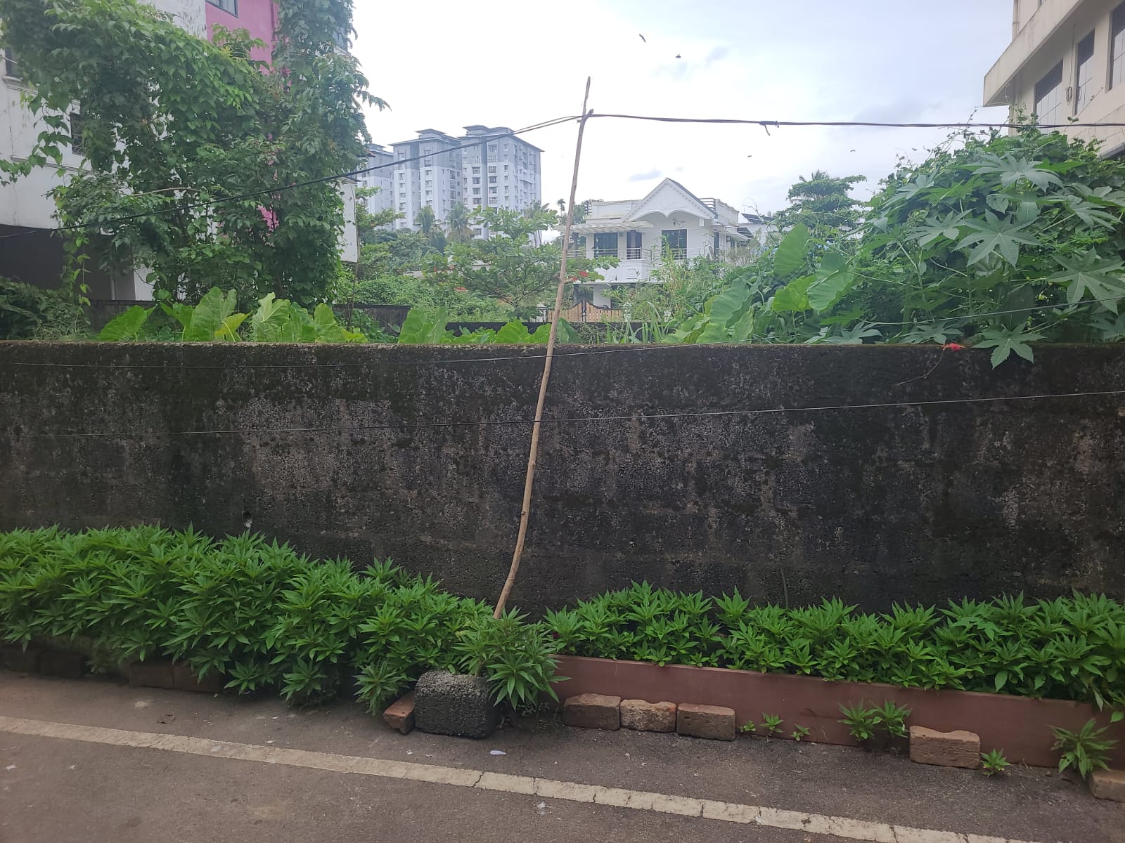 6 Cents of Land - for sale in palarivattom, Kochi, Kerala