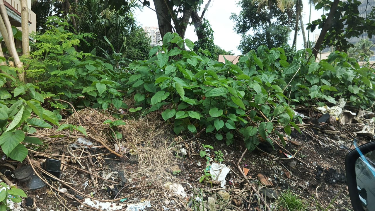 6 cents of Land - for sale in Palarivattom, Kochi ( Ernakulam ), Kerala