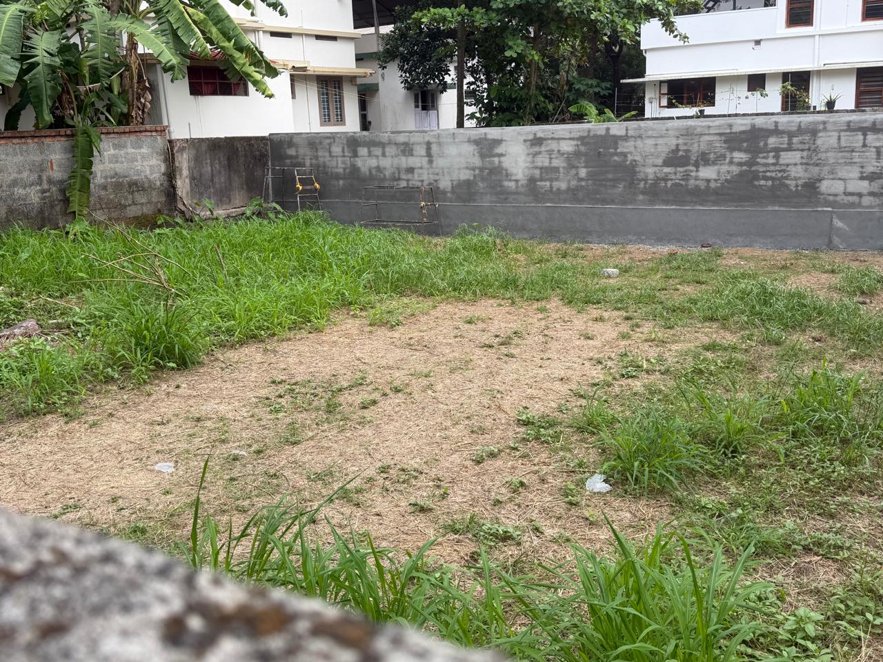 6 cents of Land