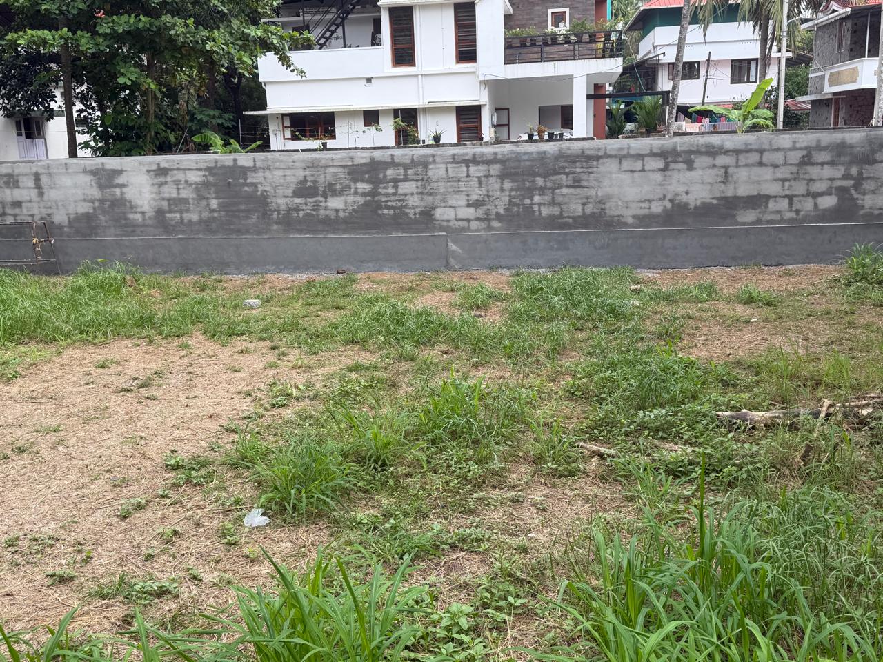 6 cents of Land