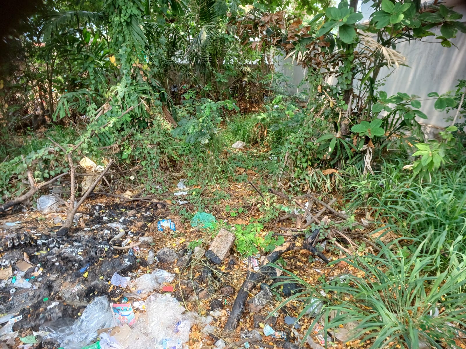 6 Cents Of Residential/Commercial Plot - for sale in Chilavanoor, Kochi ( Ernakulam ), Kerala