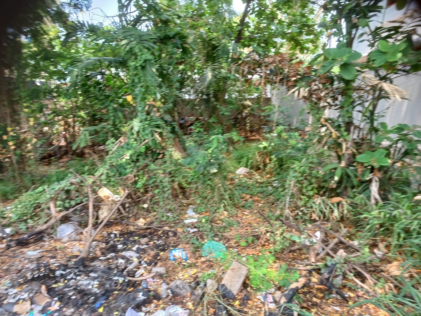 6 Cents Of Residential/Commercial Plot