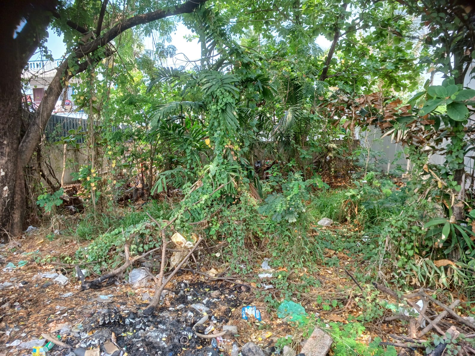 6 Cents Of Residential/Commercial Plot