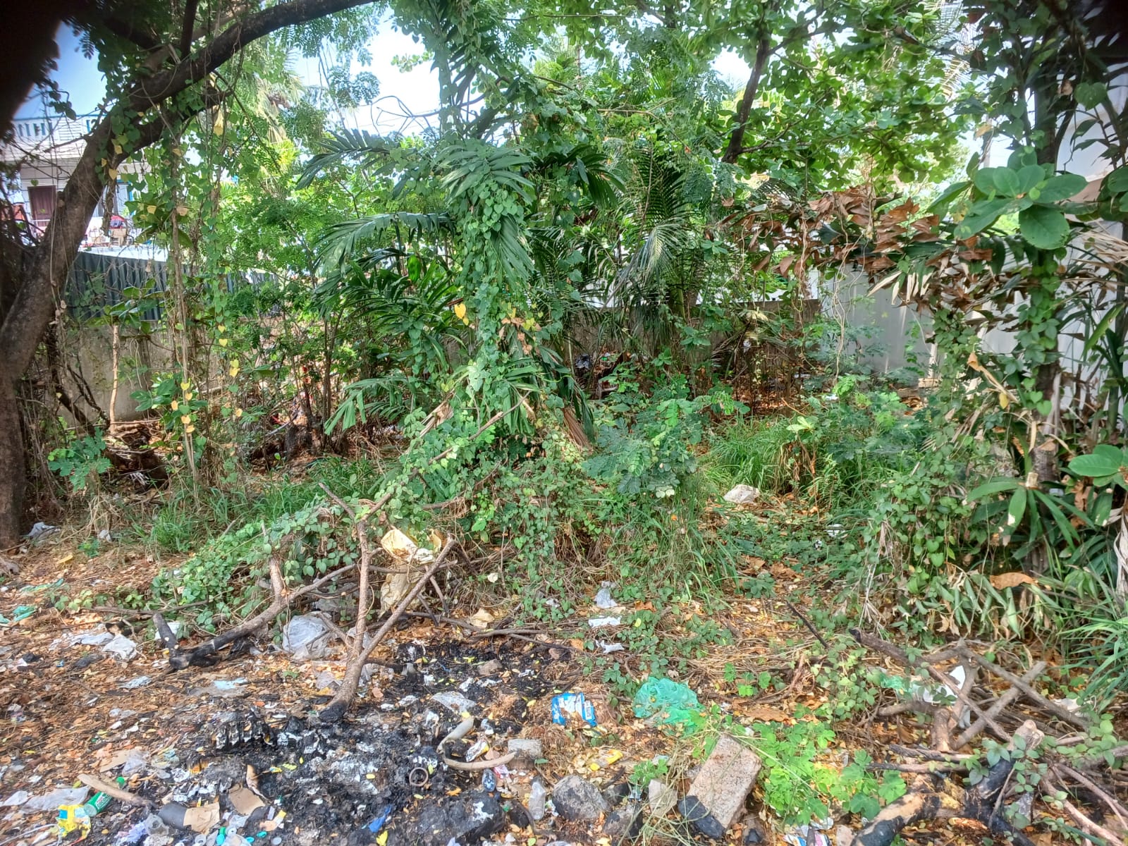 6 Cents Of Residential/Commercial Plot