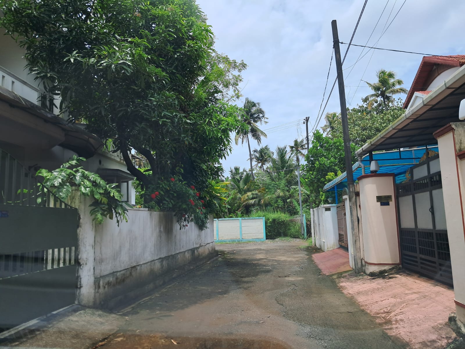6 Cents of Residential Property