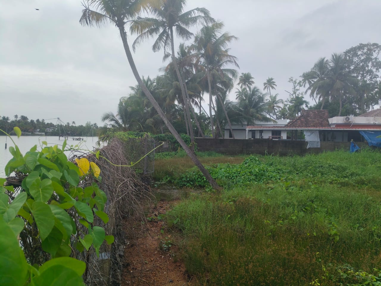 60 Cents of Water Front Plot