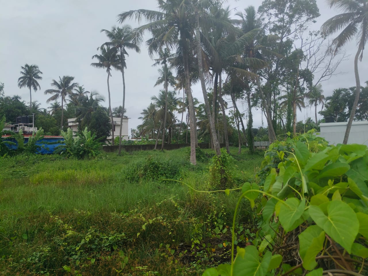 60 Cents of Water Front Plot