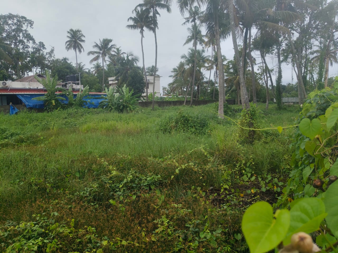 60 Cents of Water Front Plot