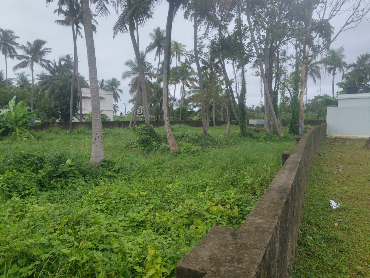 60 Cents of Water Front Plot