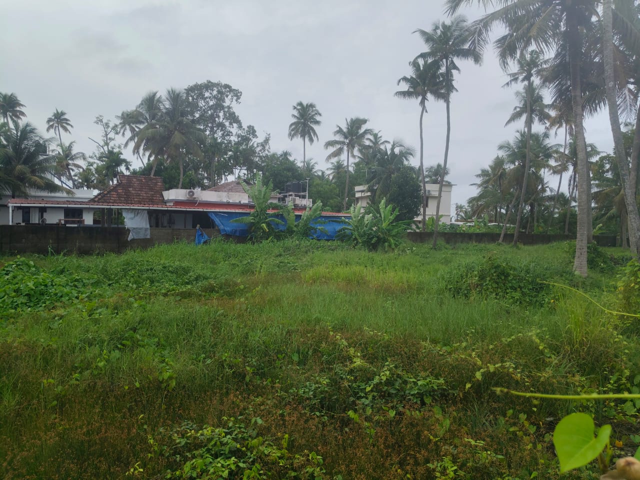 60 Cents of Water Front Plot