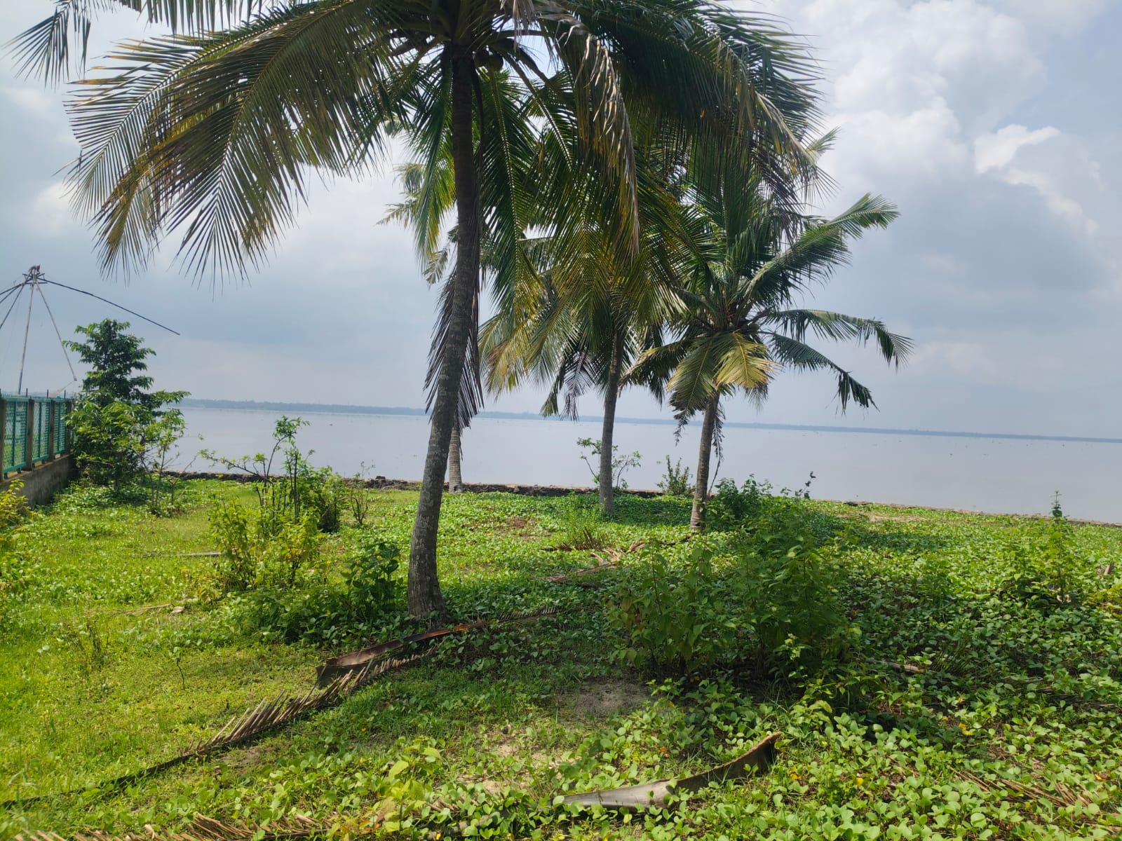 65 cents of Waterfront Land with old House - for sale in Panangad, Kochi ( Ernakulam ), Kerala