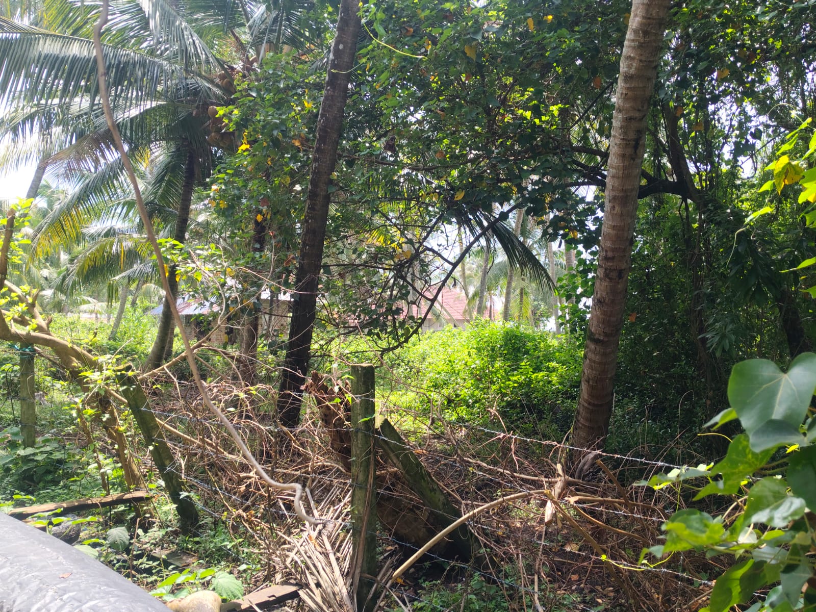 65 cents of Waterfront Land with old House
