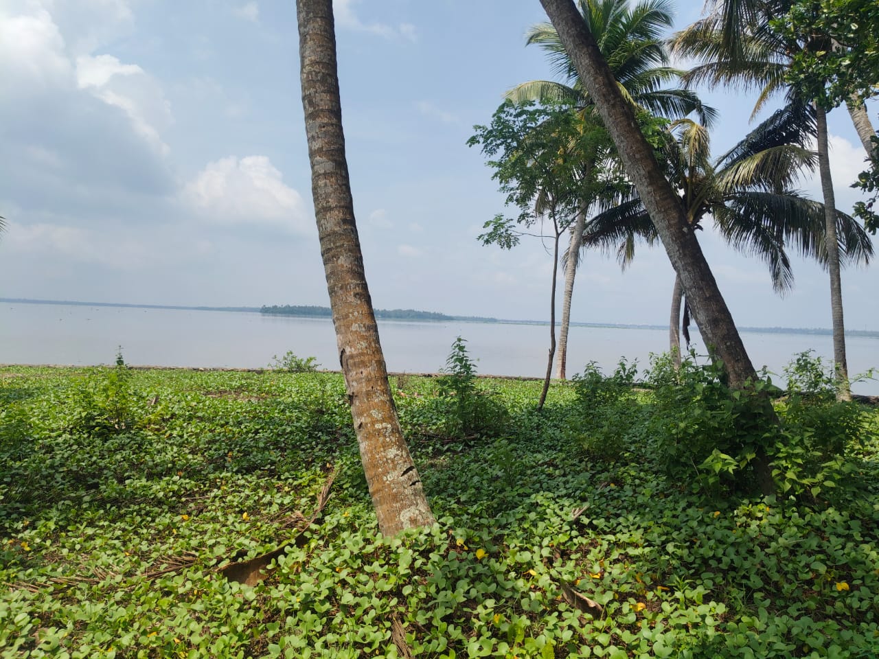 65 cents of Waterfront Land with old House