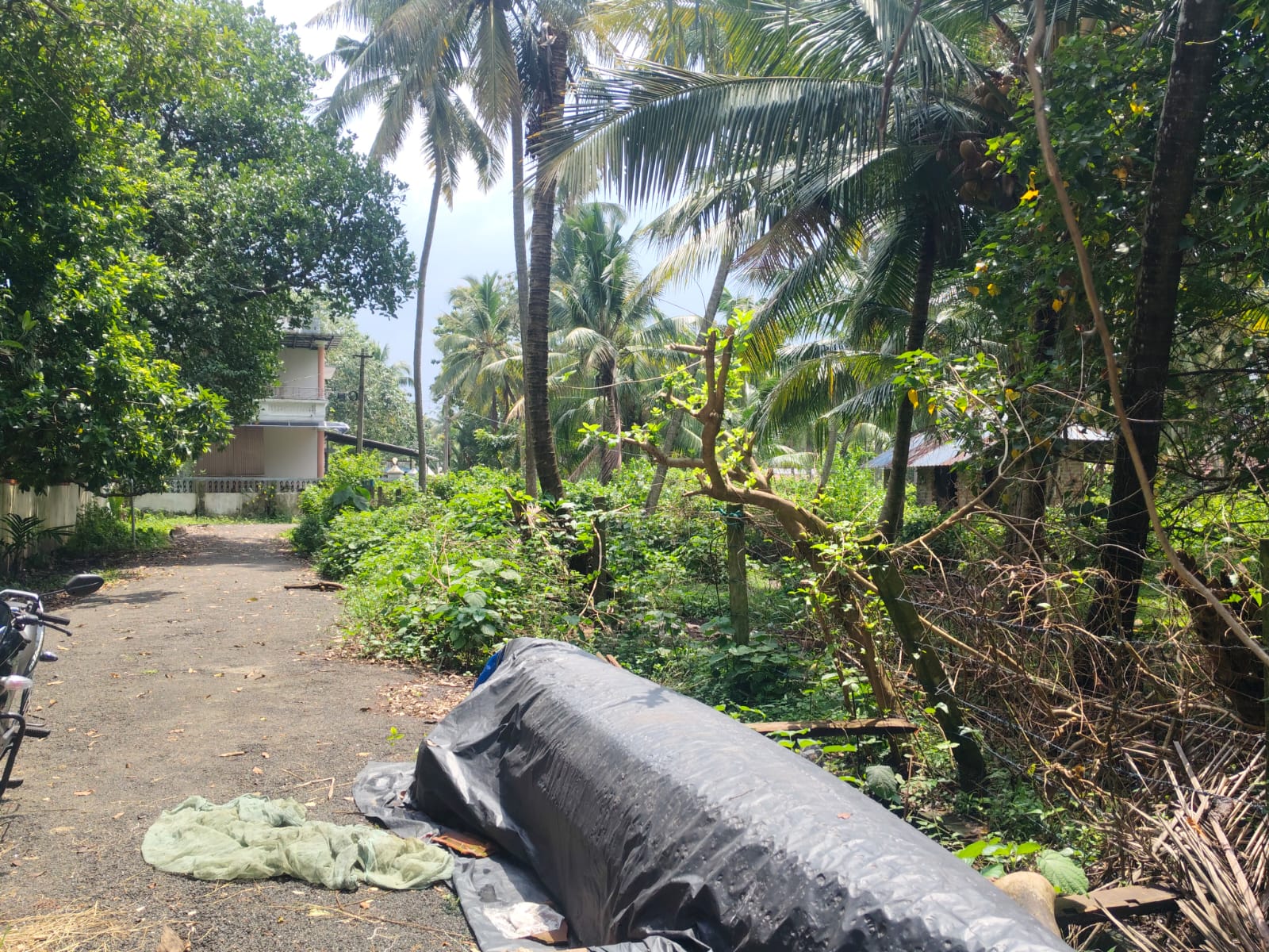 65 cents of Waterfront Land with old House