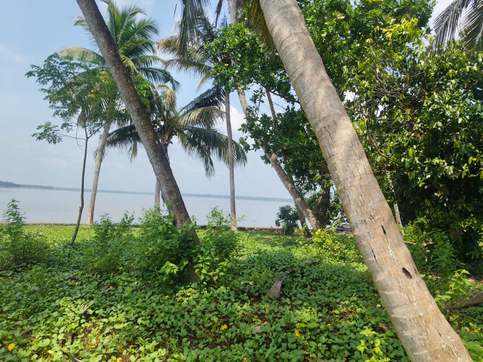 65 cents of Waterfront Land with old House