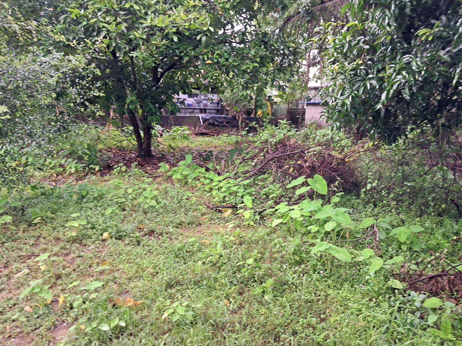 6Cents of Residential Property in Maradu