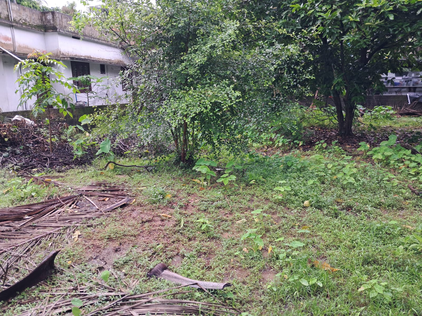 6Cents of Residential Property in Maradu