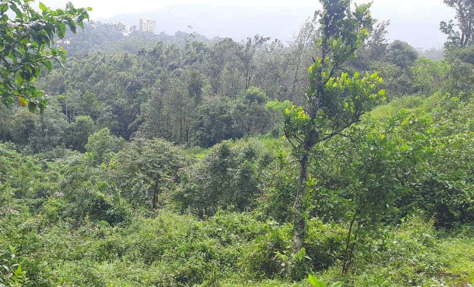 7.5Acre of Land with 1400sqft House
