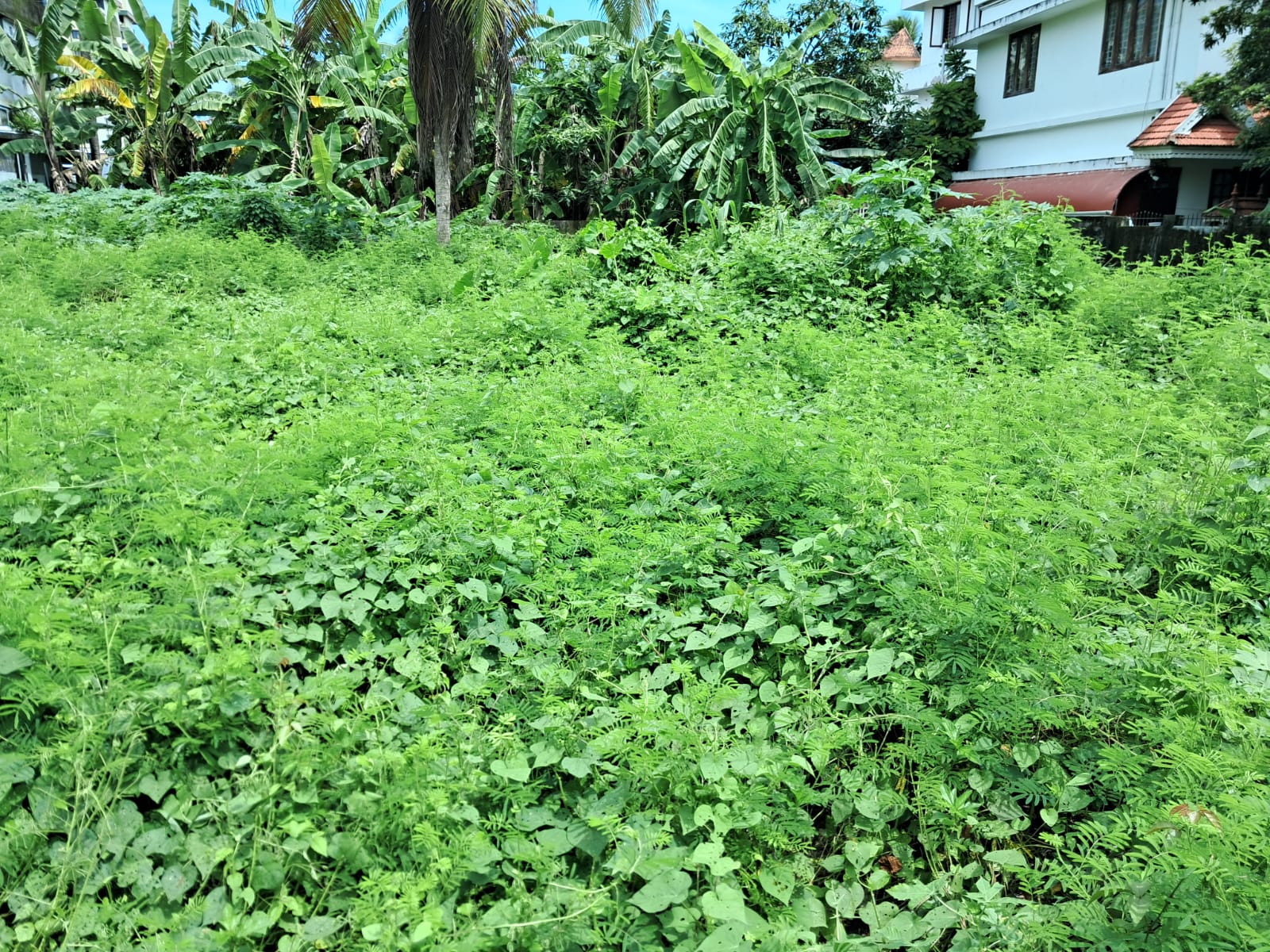 7.700Cents of Residential Property