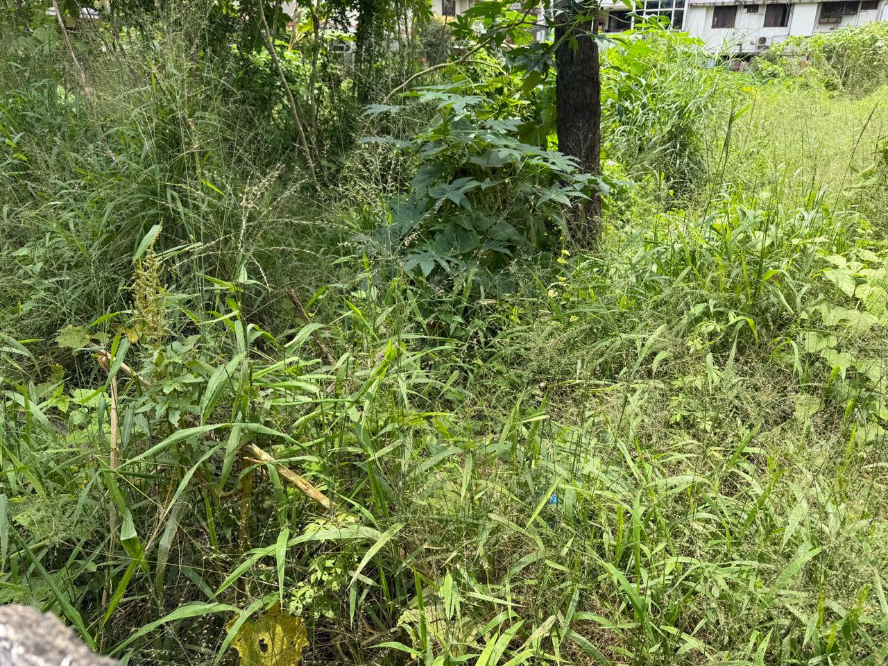 7.75 cent land - for sale in Kadavanthra, Kochi ( Ernakulam ), Kerala