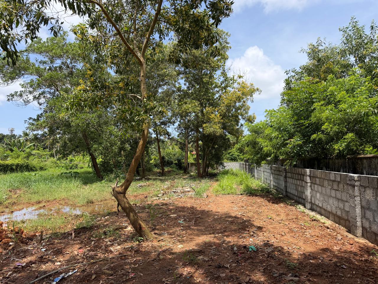 7.78 cents of Land - for sale in Maradu, Kochi ( Ernakulam ), Kerala