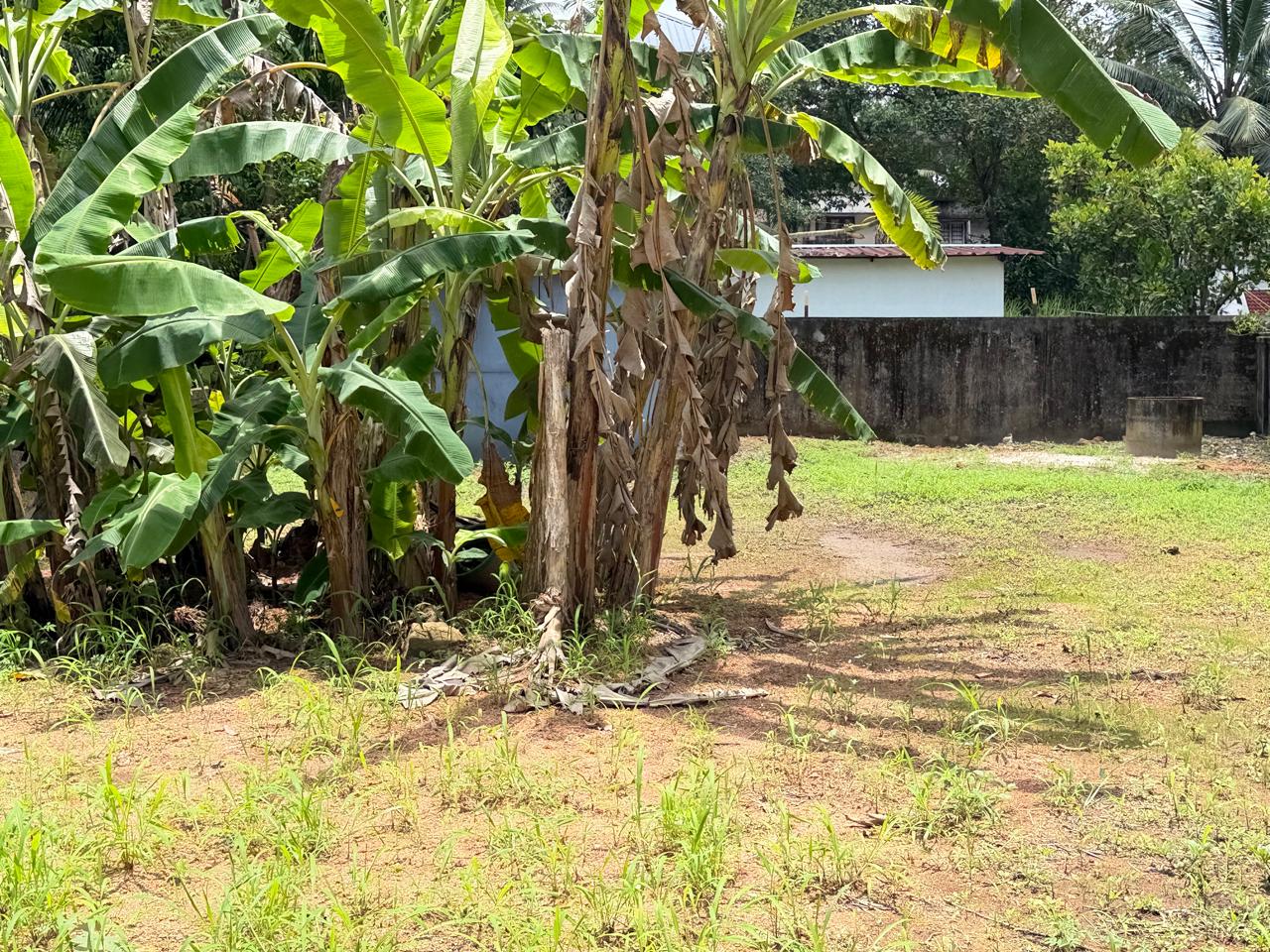 7.800 cents of Land