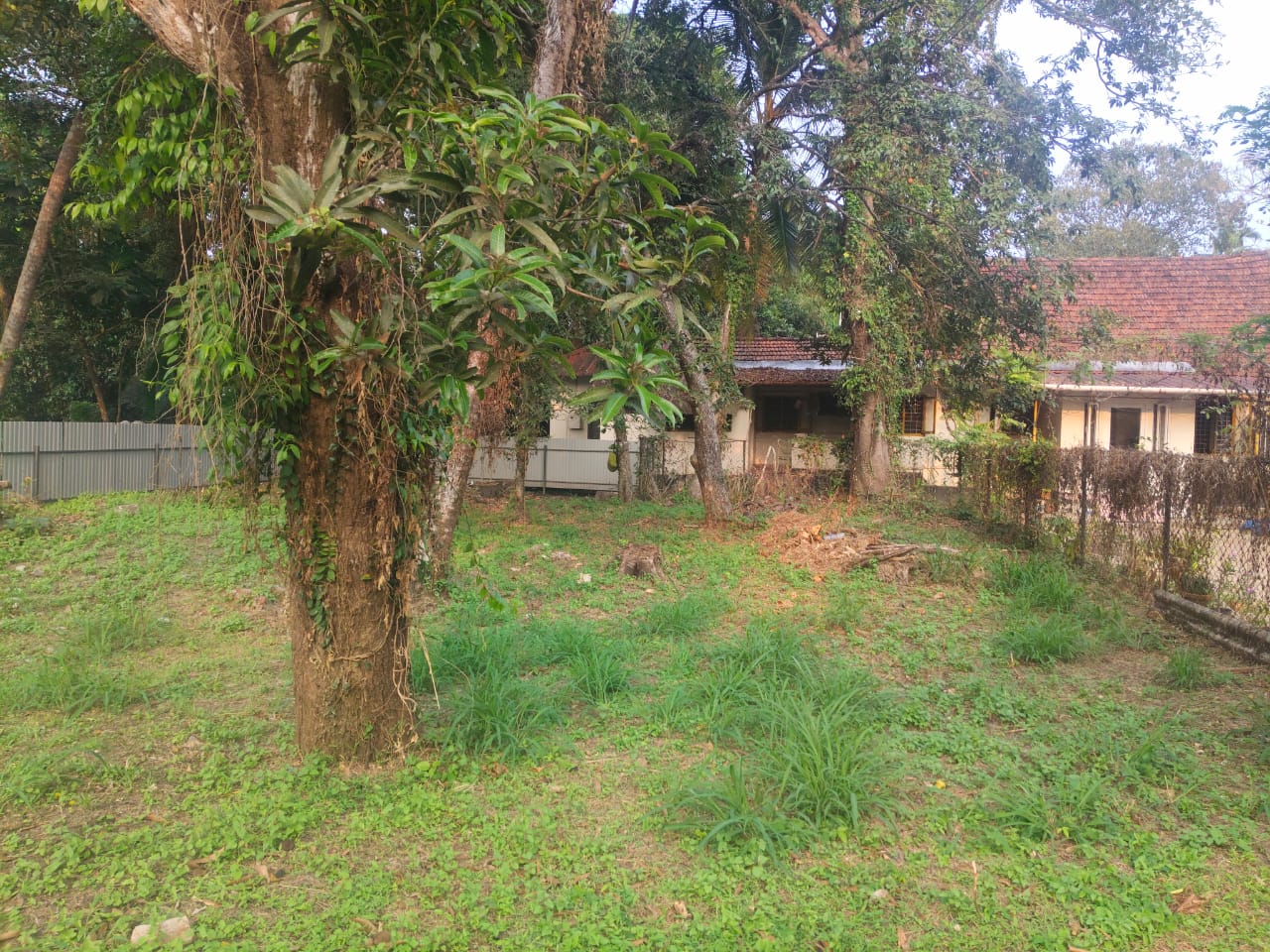 7.9 cents of Land - for sale in Maradu, Kochi ( Ernakulam ), Kerala