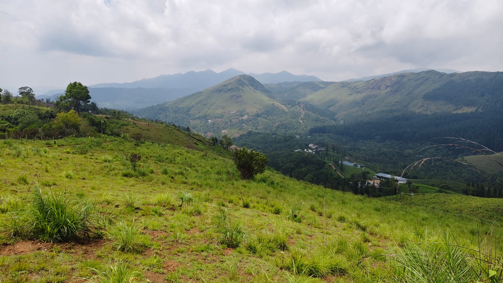 7 Acer of Land - for sale in vagamon, Kochi ( Ernakulam ), Kerala