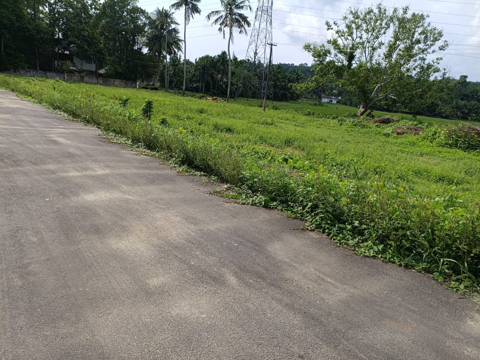 7 cents of Land - for sale in Morakkala, Kochi ( Ernakulam ), Kerala